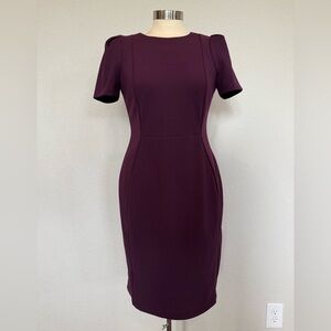 Calvin Klein Business Casual Plum Dress